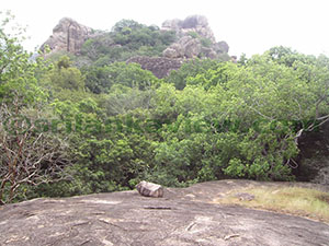 Hatthikucchi Vihara